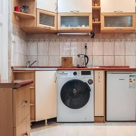 Rustic Apartment Belgrade